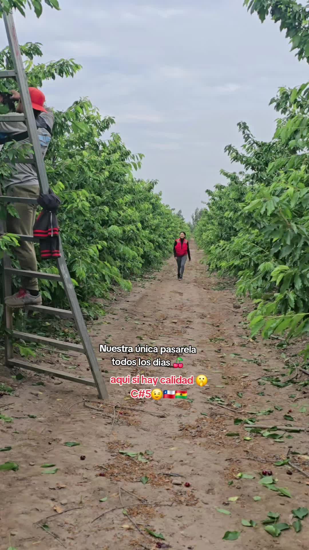 @Dainita🥰