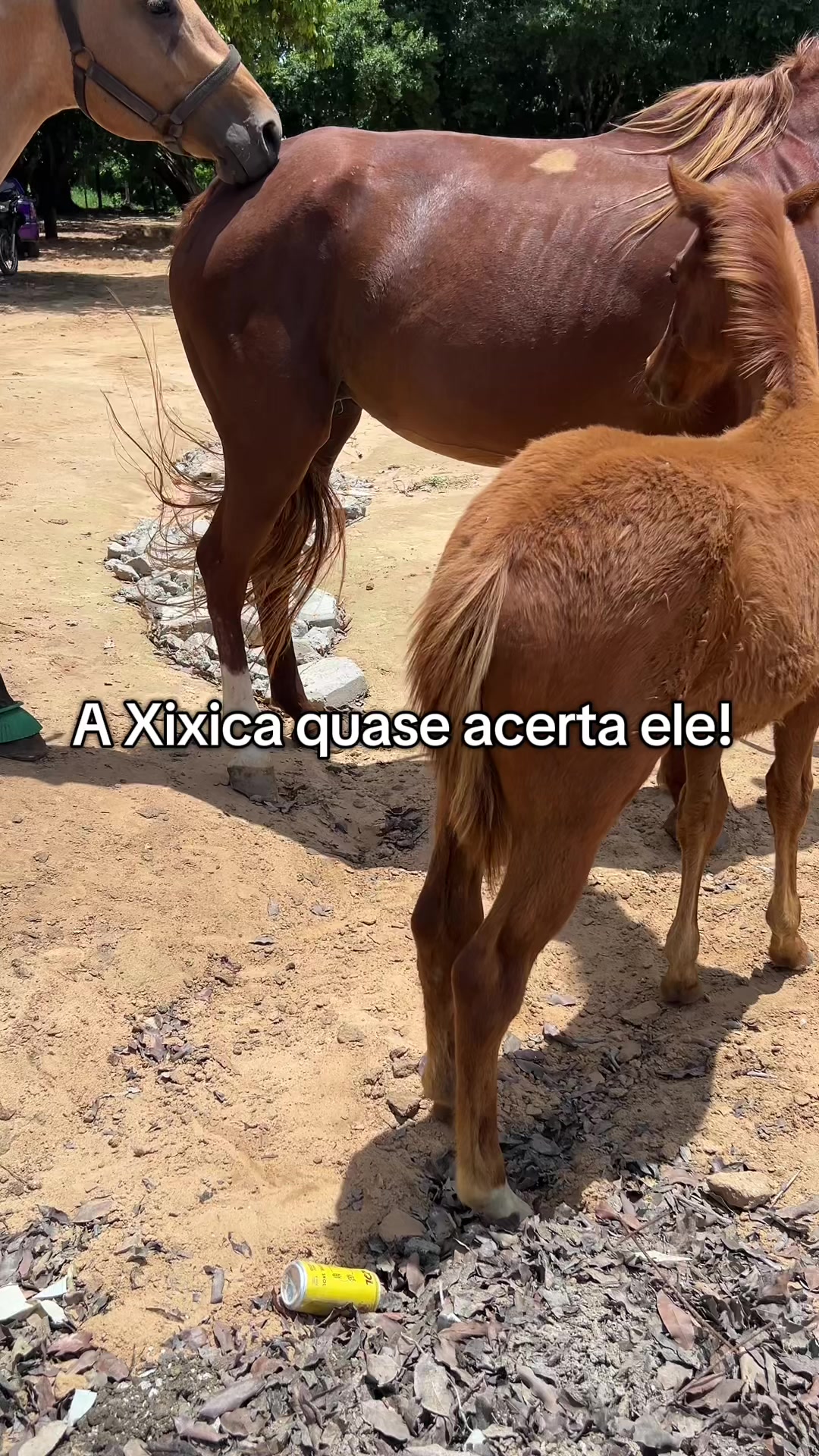 @Espanta Ranch