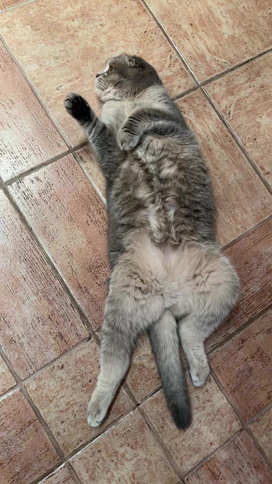 @Aniutik_relaxbody