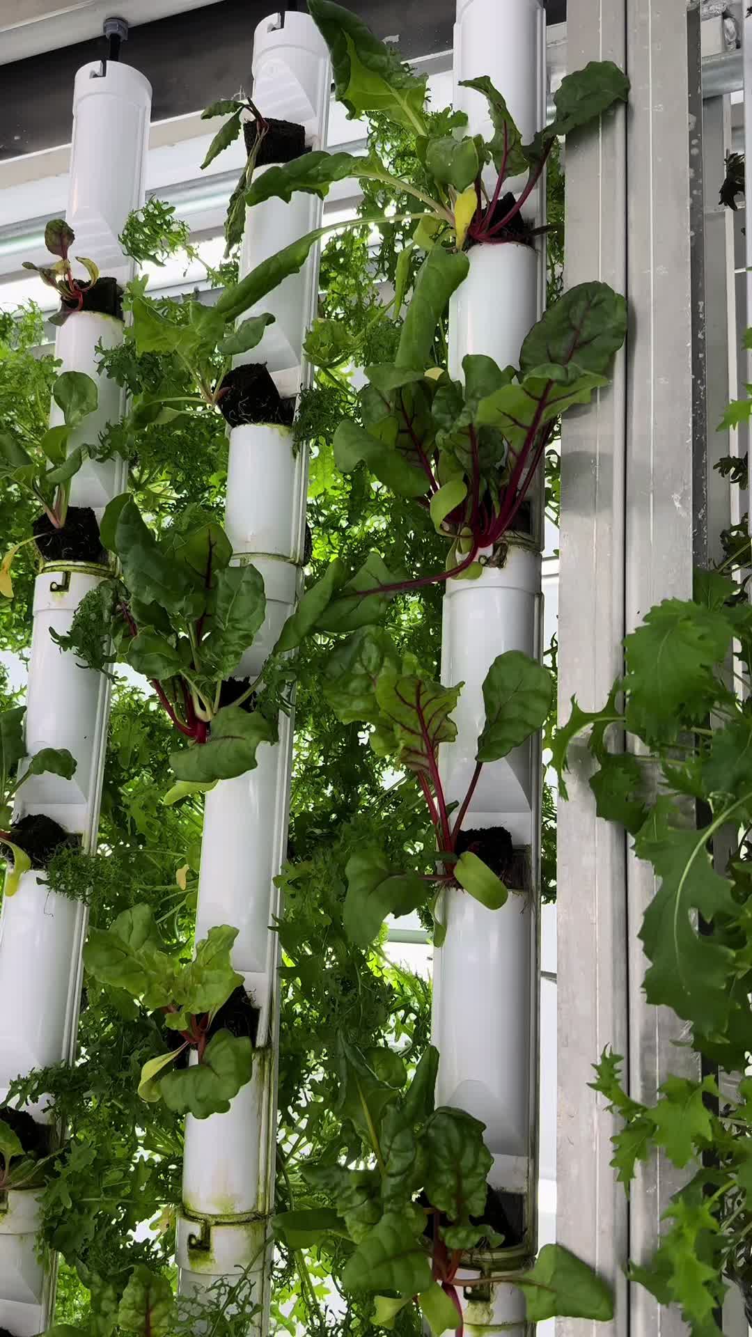 @FarmBox Foods