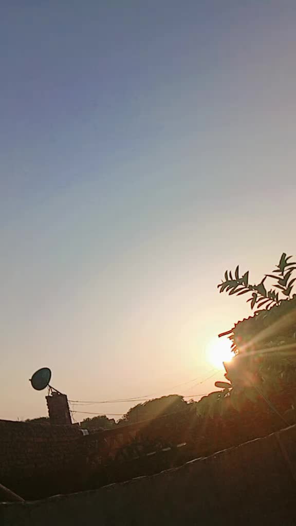 @chandrika das
