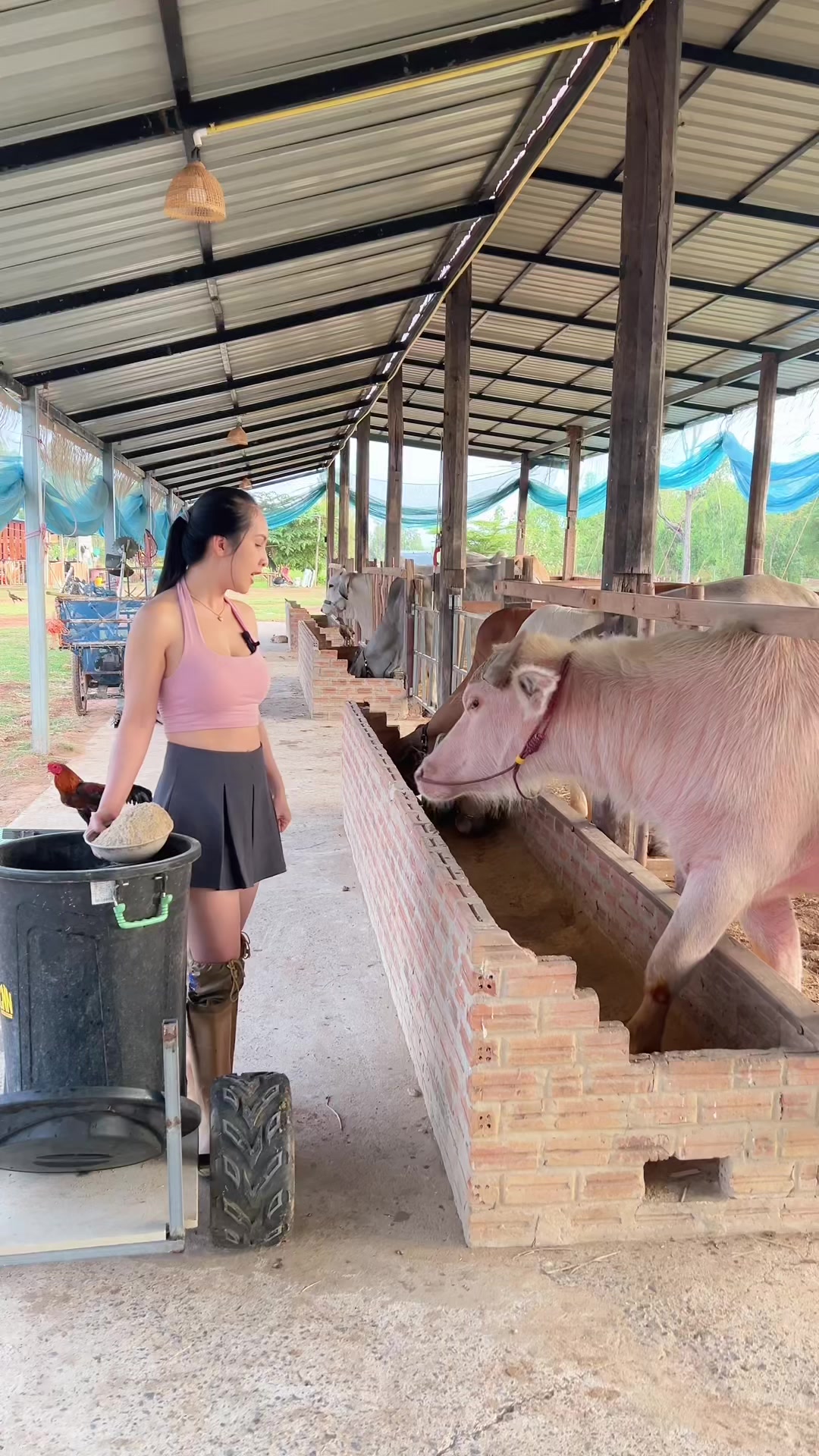 @AA Aranya Farm