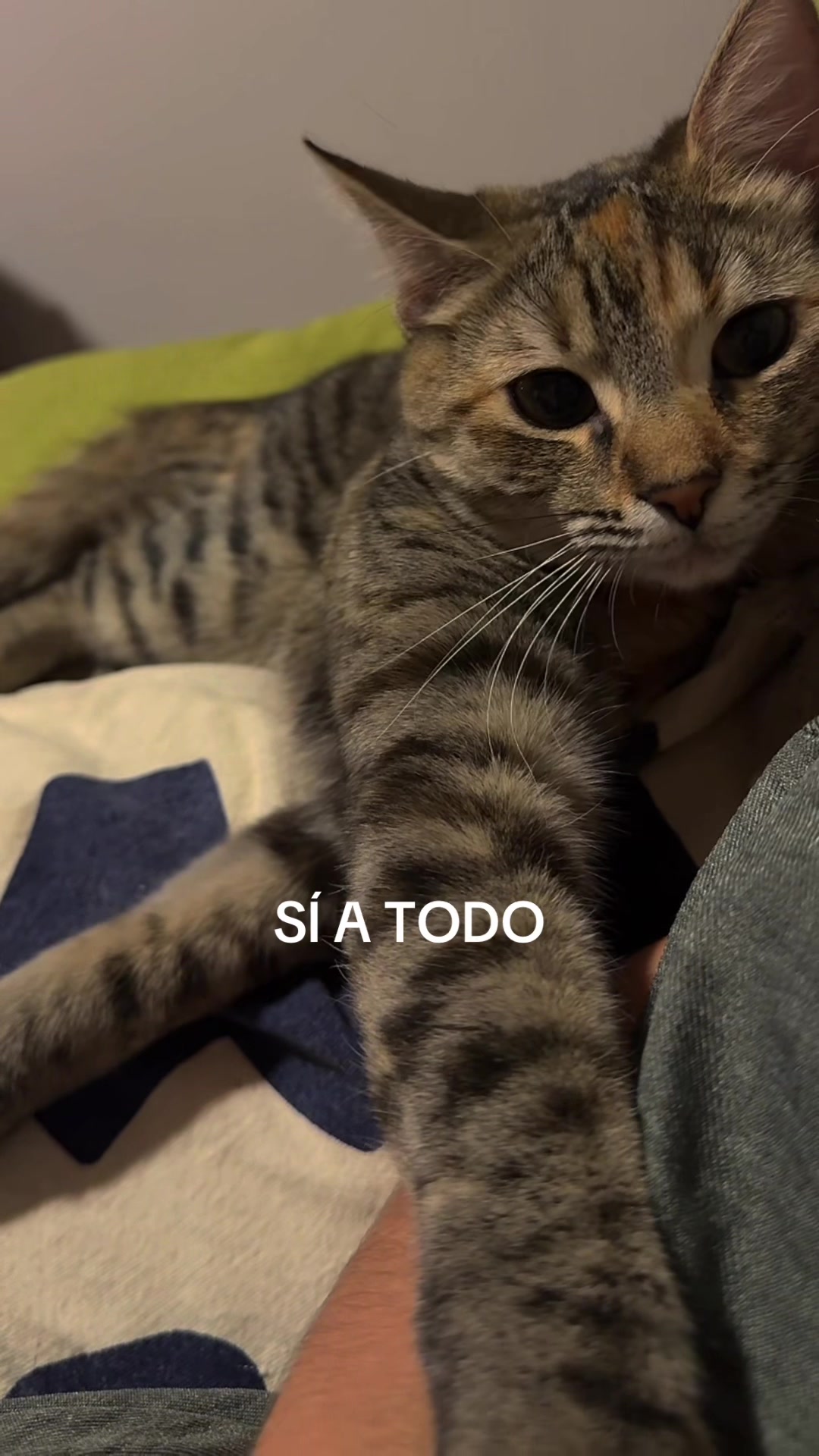 @Karen Tinajero