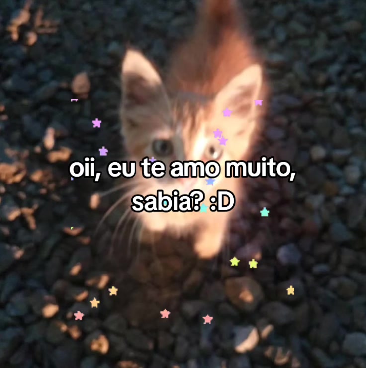 @Lari