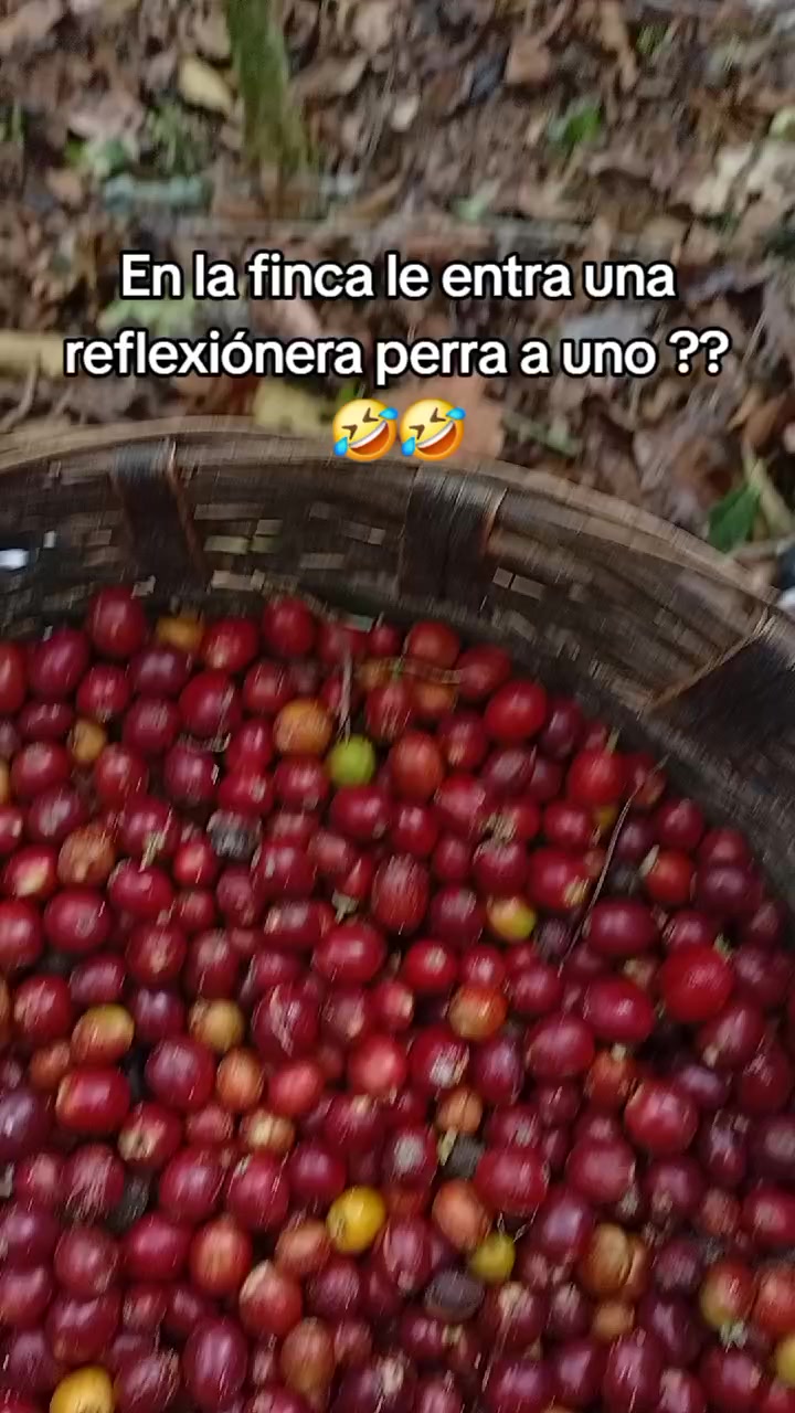 @natii Morales