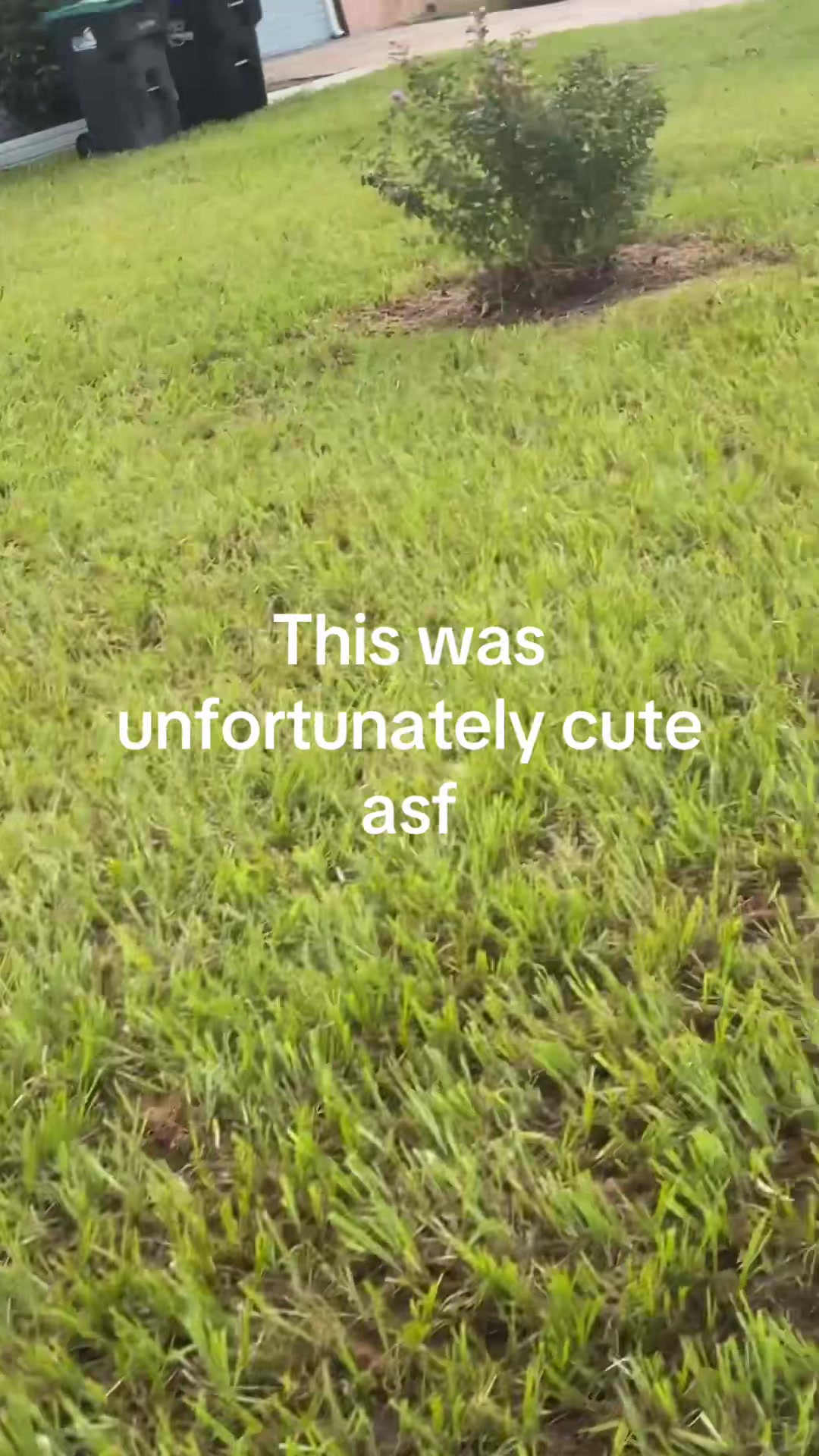 @Xavier Serrano