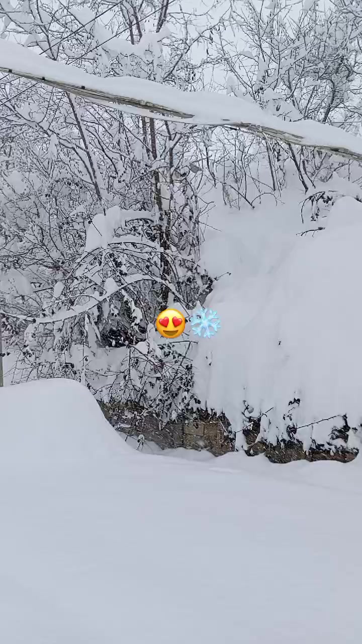 @Qaqash.211