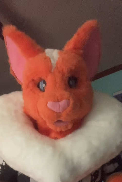 @Liger~Liger🐾🍉