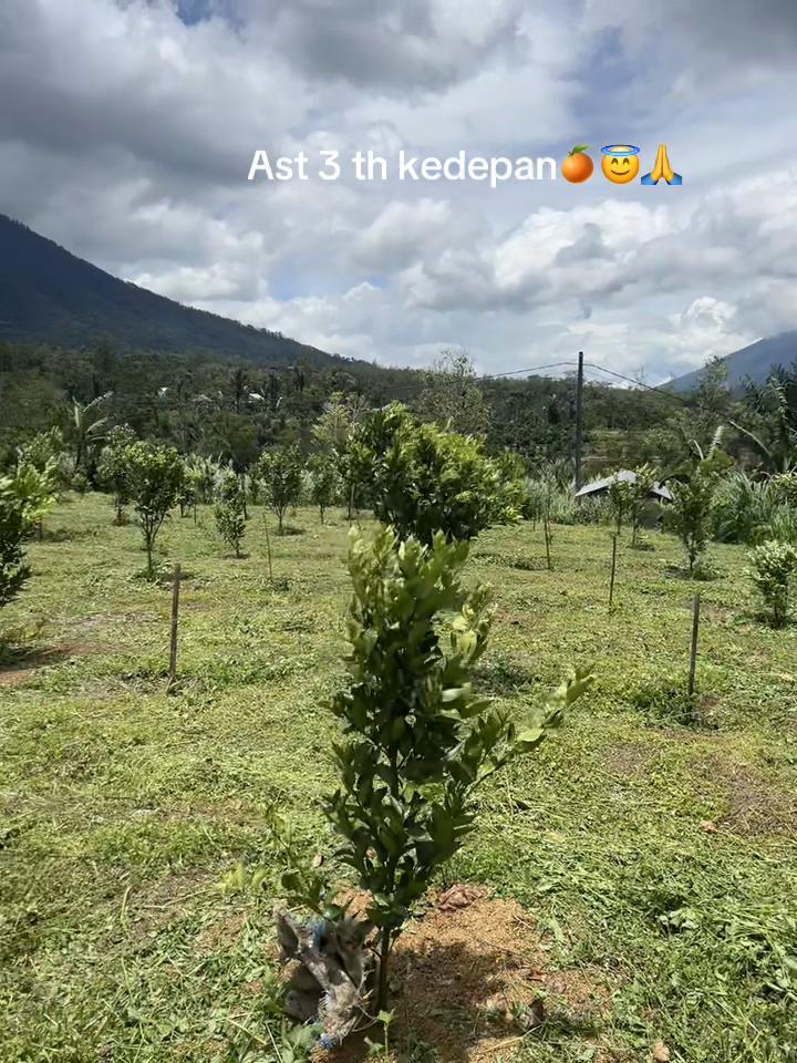 @Anakpetani🍊