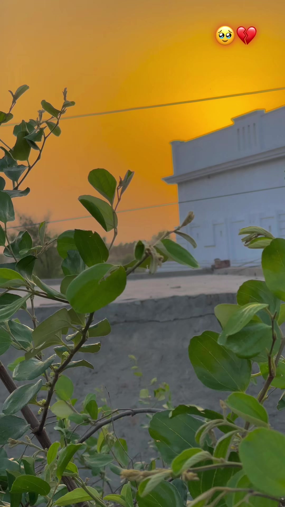 @🥀مٹی پنجاب دی🥀