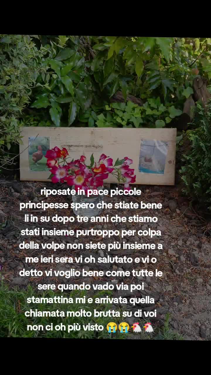 @Nico Agricoltura