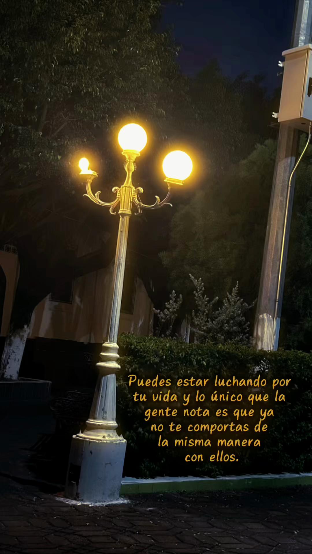 @Lizama Fredy