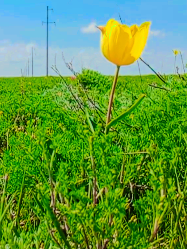 @𝗲𝗻𝗲𝗮𝘀𝘆.𝗸𝘇
