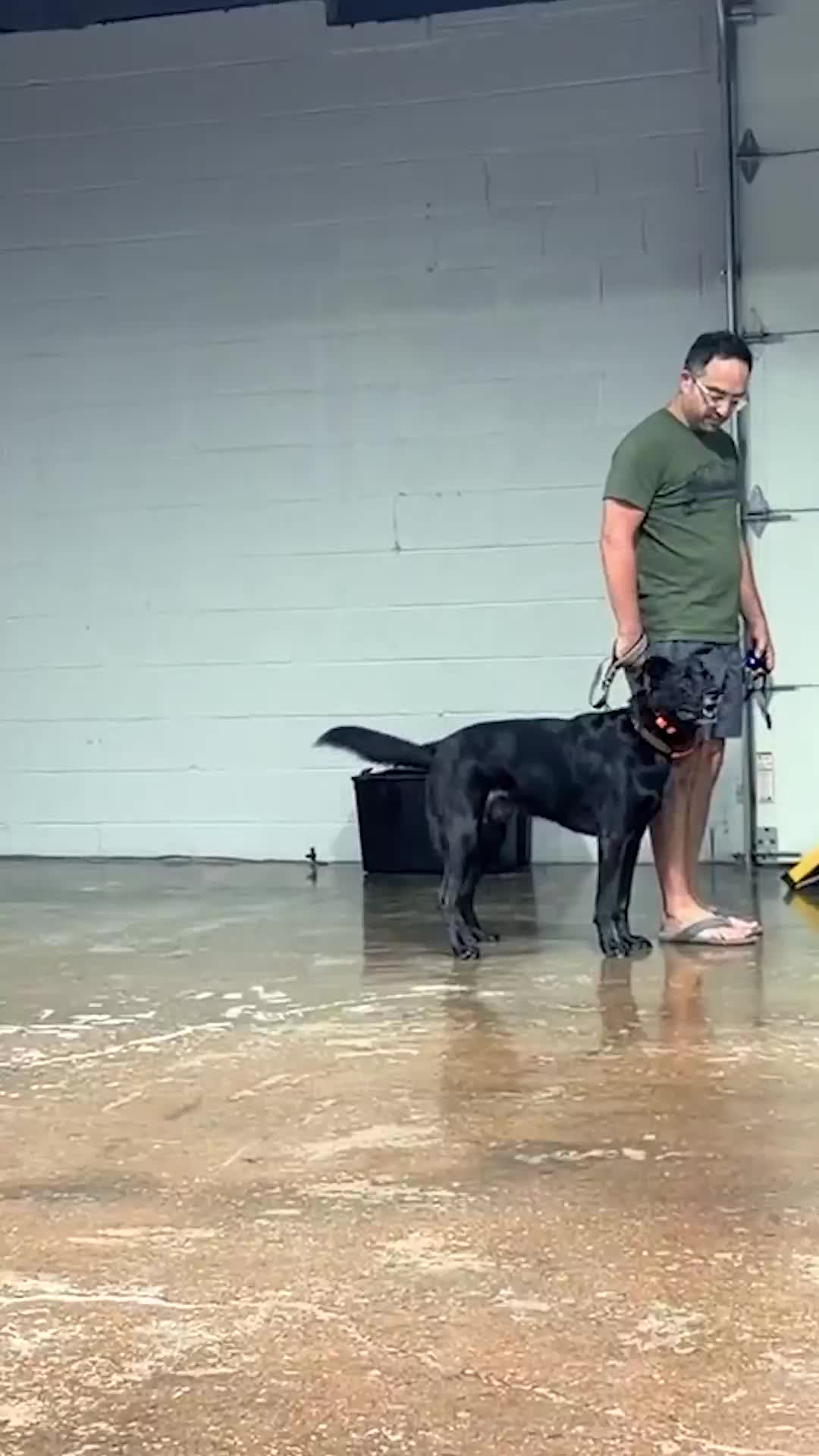 @Miracle K9 Training