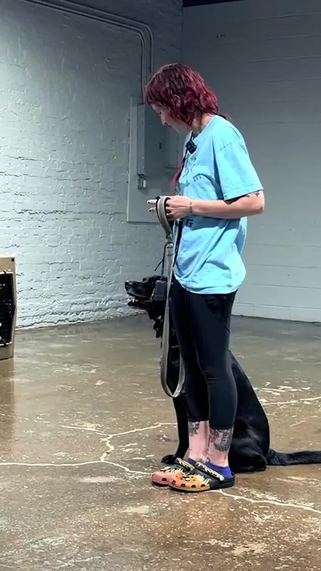 @Miracle K9 Training