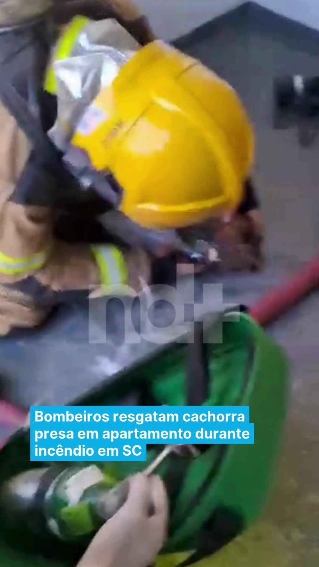 @portalndmais