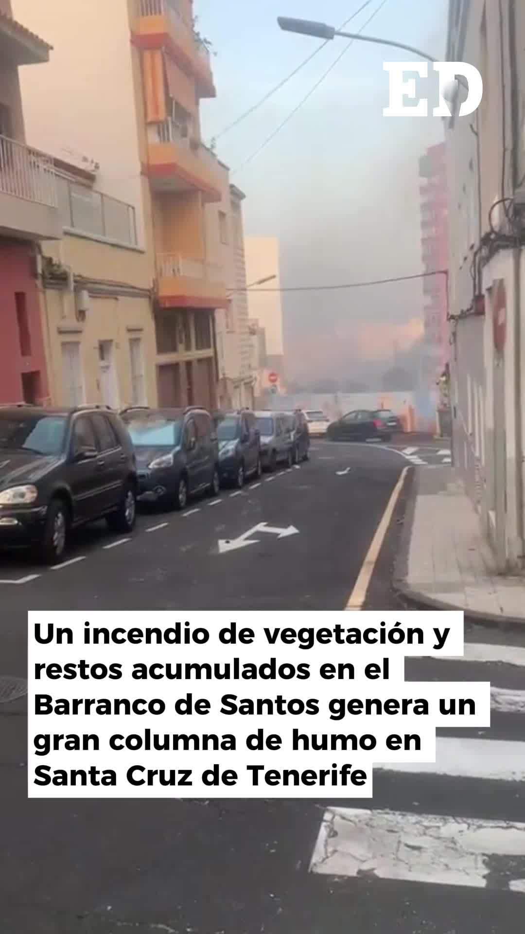 @El Día - Tenerife