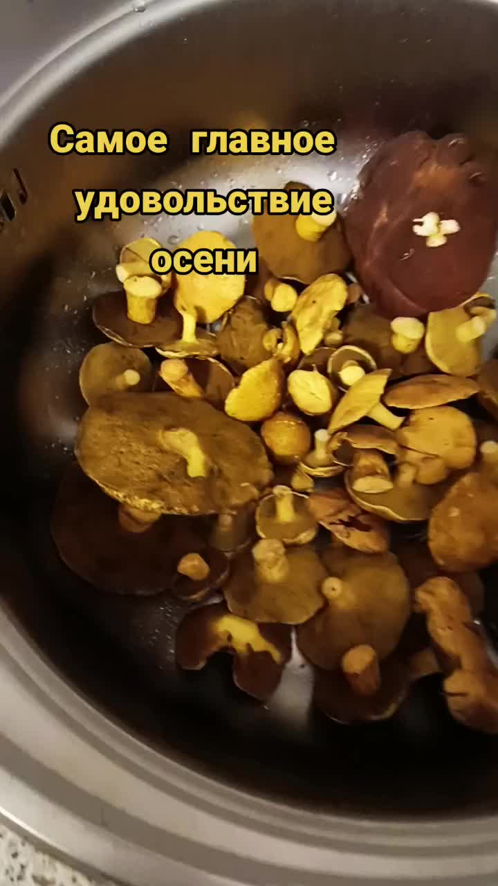 @user2278096979685