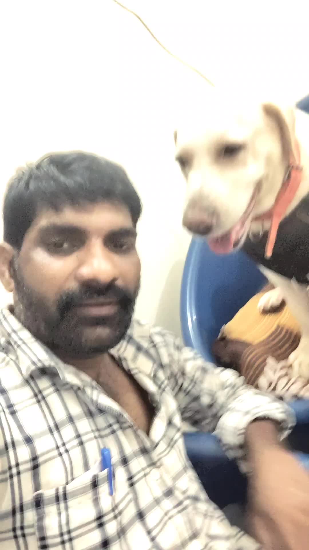 @ℝᴀ𝙼ⲉ𝘀ԩ 𝕋ᴇʝᴀ😍