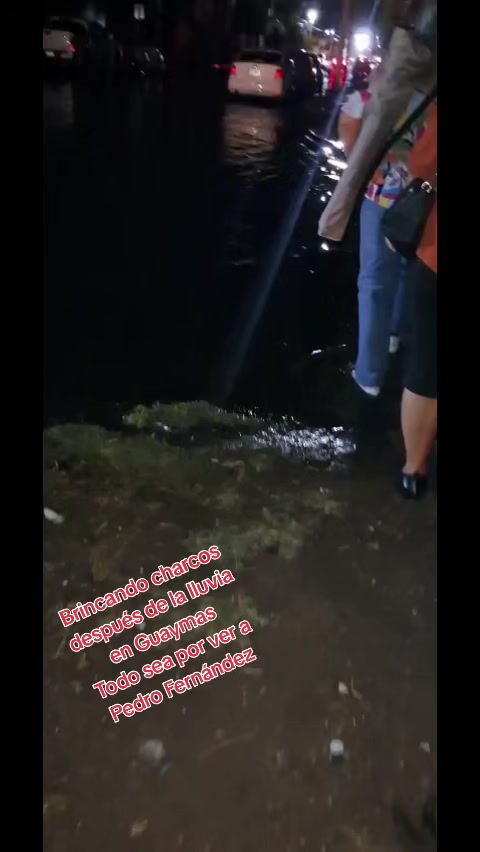 @elportaldelanoticia