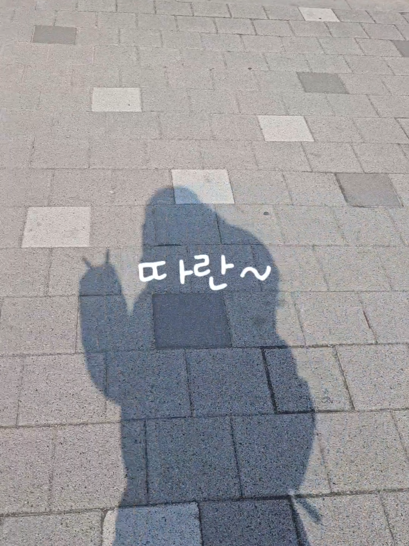 @🔫폭군 츄츄🐱