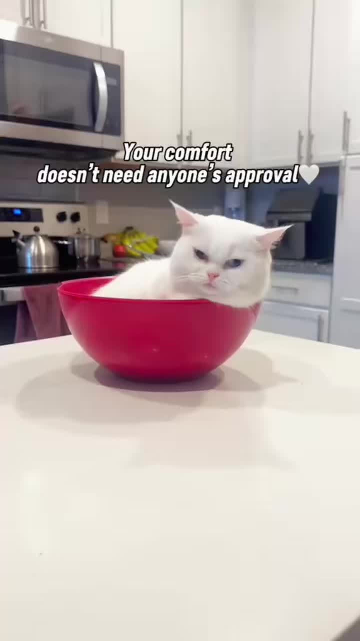 @EXE