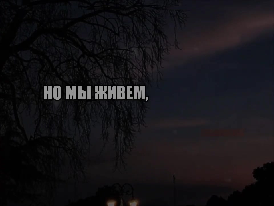 @SearchVibe.music