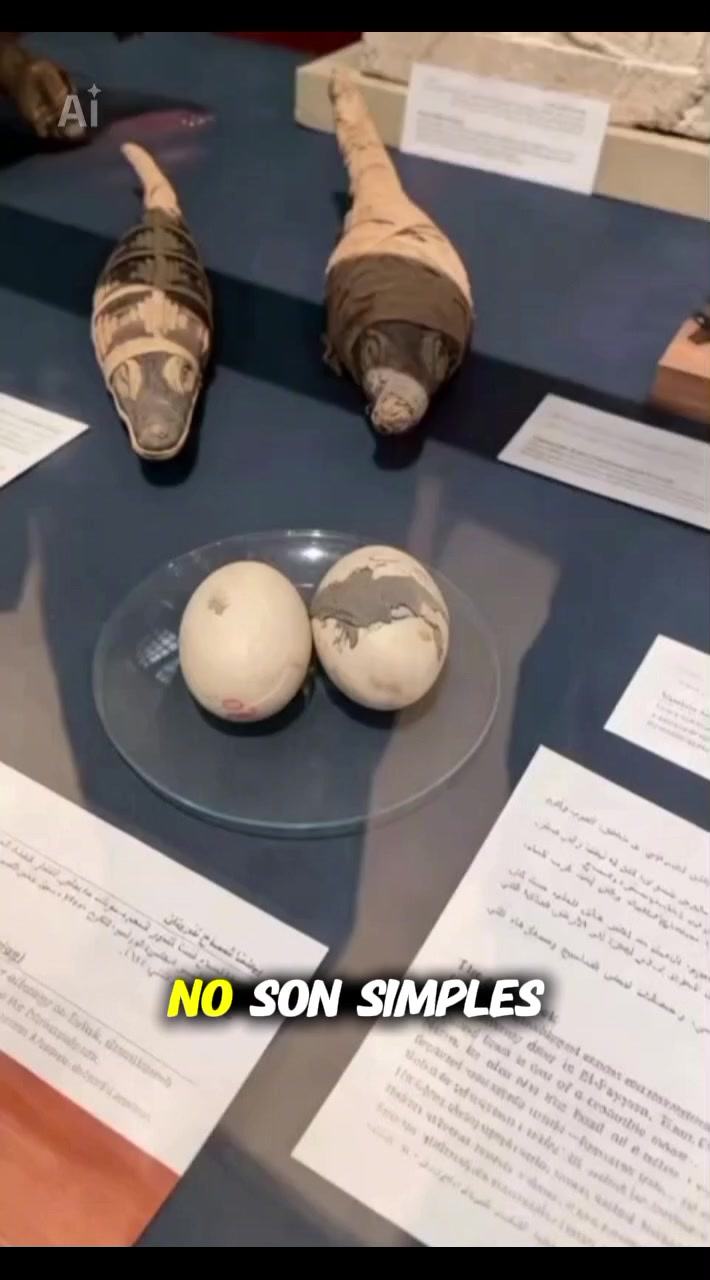 @mundo extraordinario