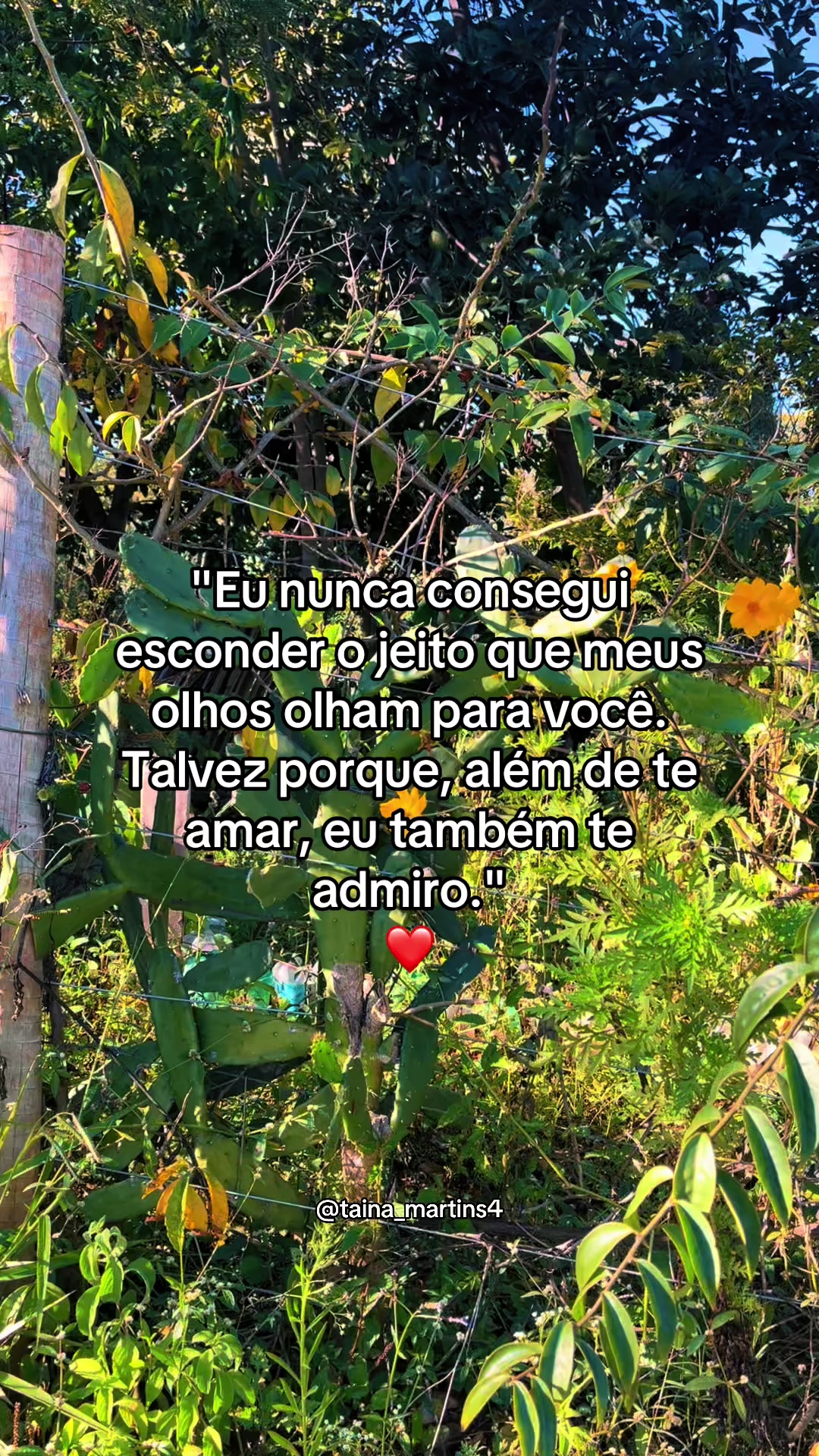 @taina_martins4🫀