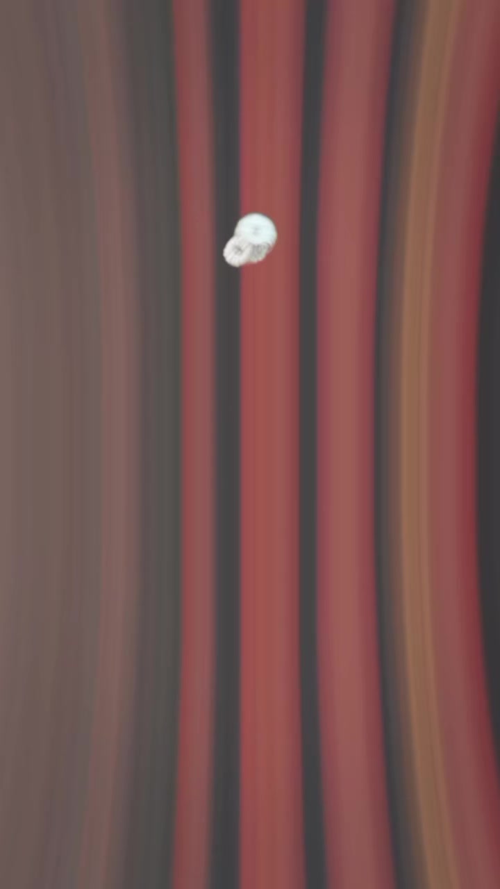 @꧁༺🐼B&iacute;k&auml;sh🐼༻꧂