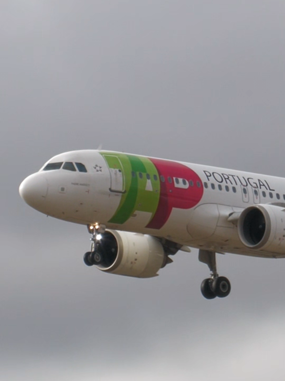 @Lisbon Spotting