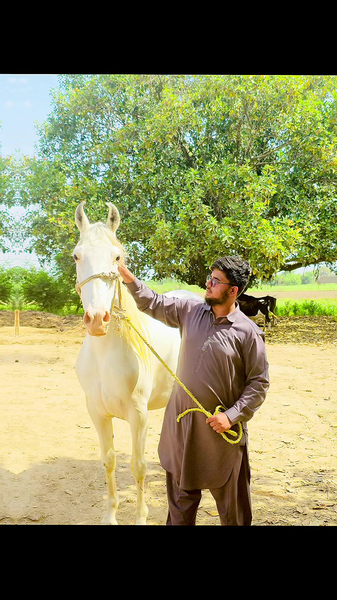 @صُومان کیانی