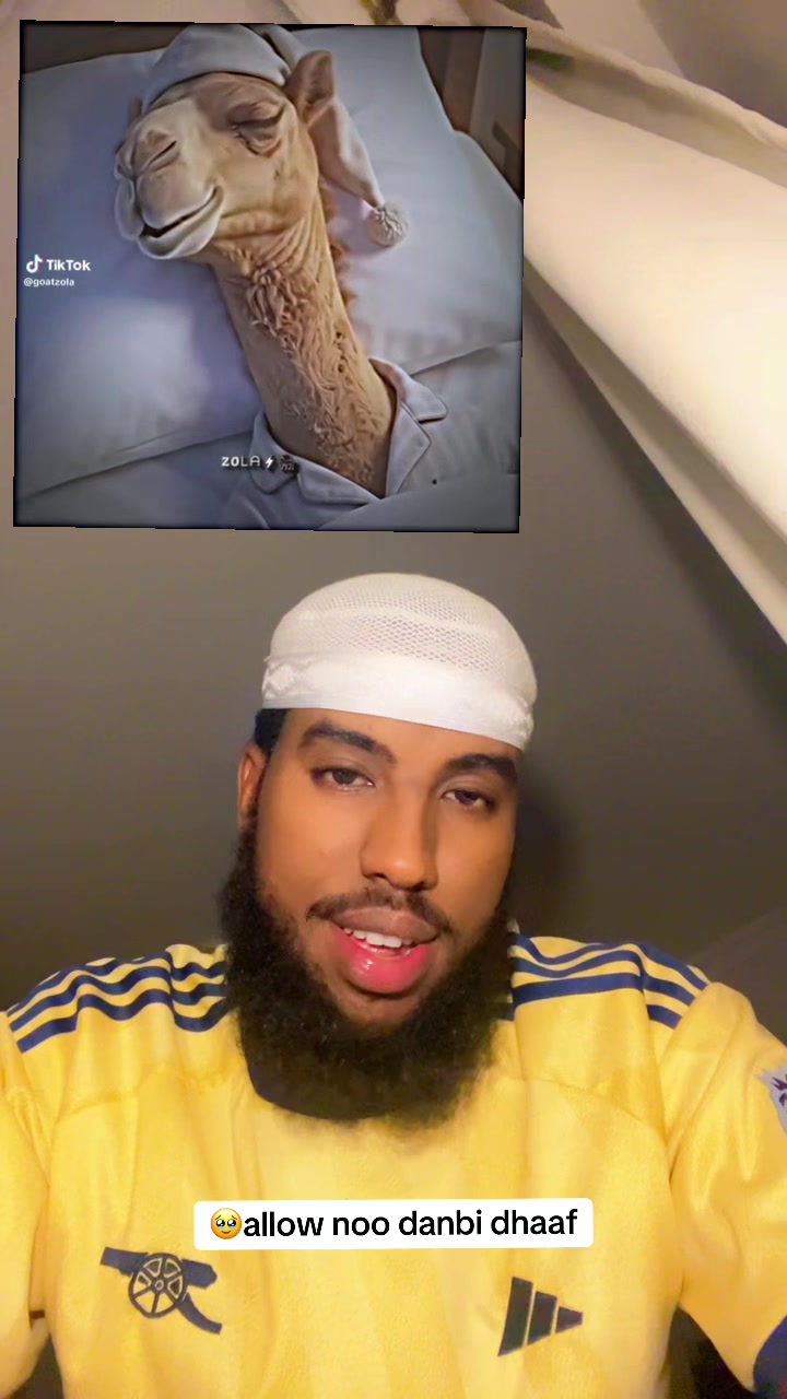 @Qalbitajir