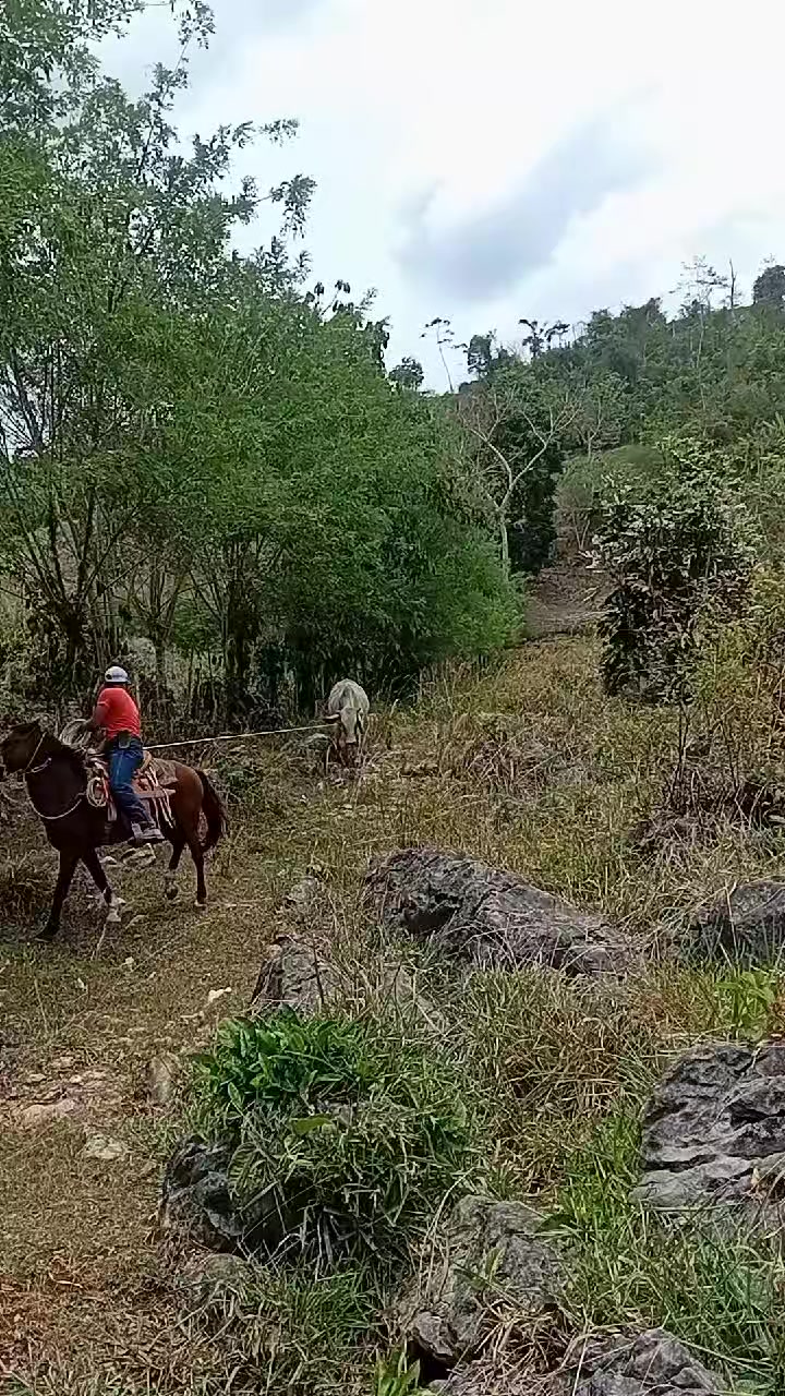 @vaquero 🤠 Lopez