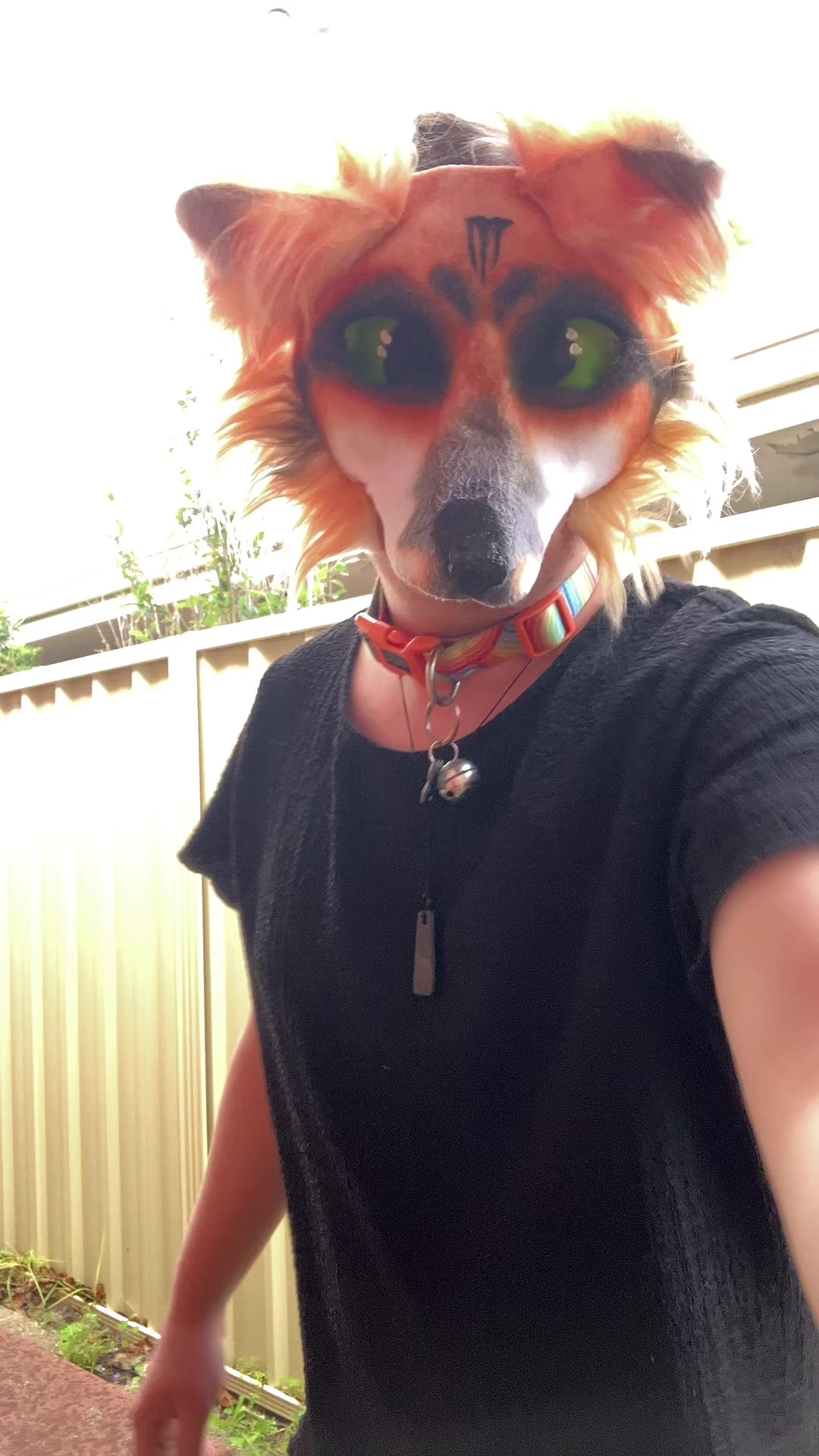 @Bryn 🦊