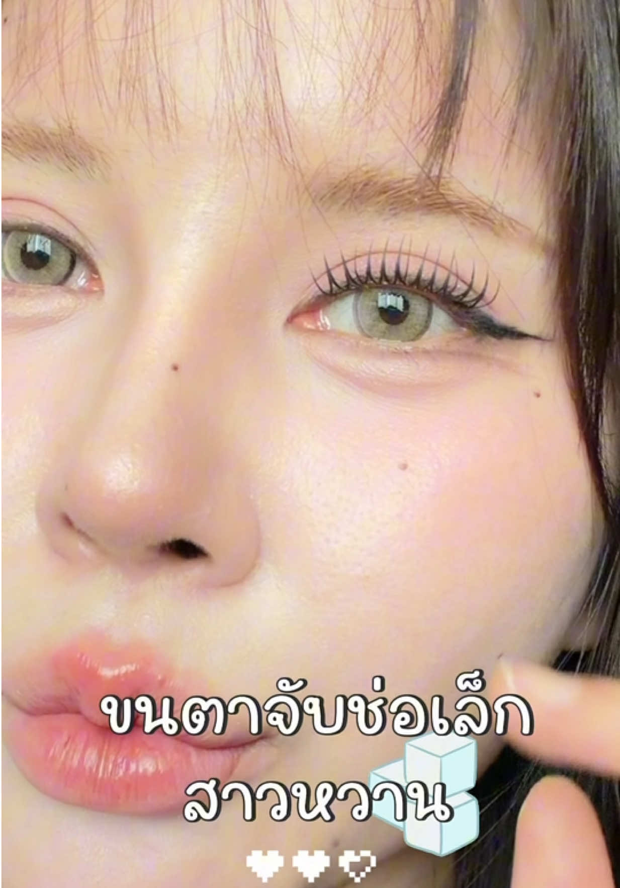 @พรีมแพรพลอย
