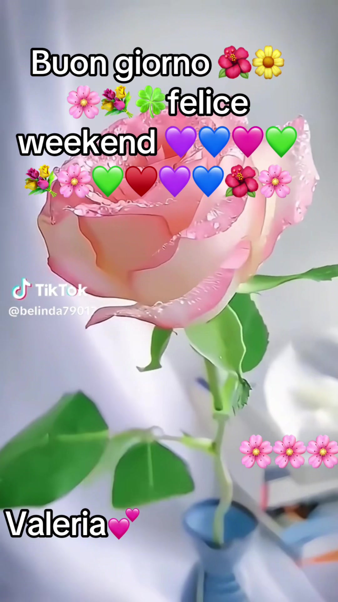 @valeriaevangelis840