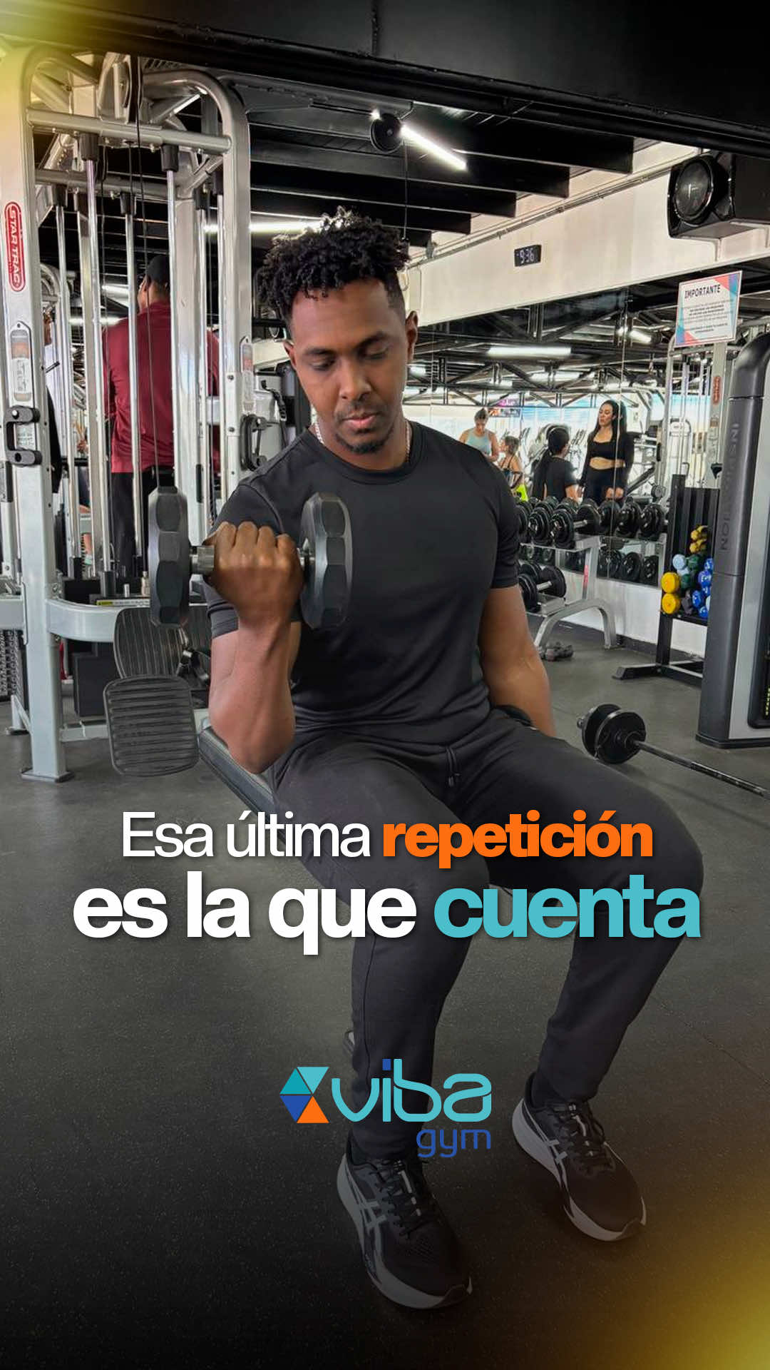 @Vibagym