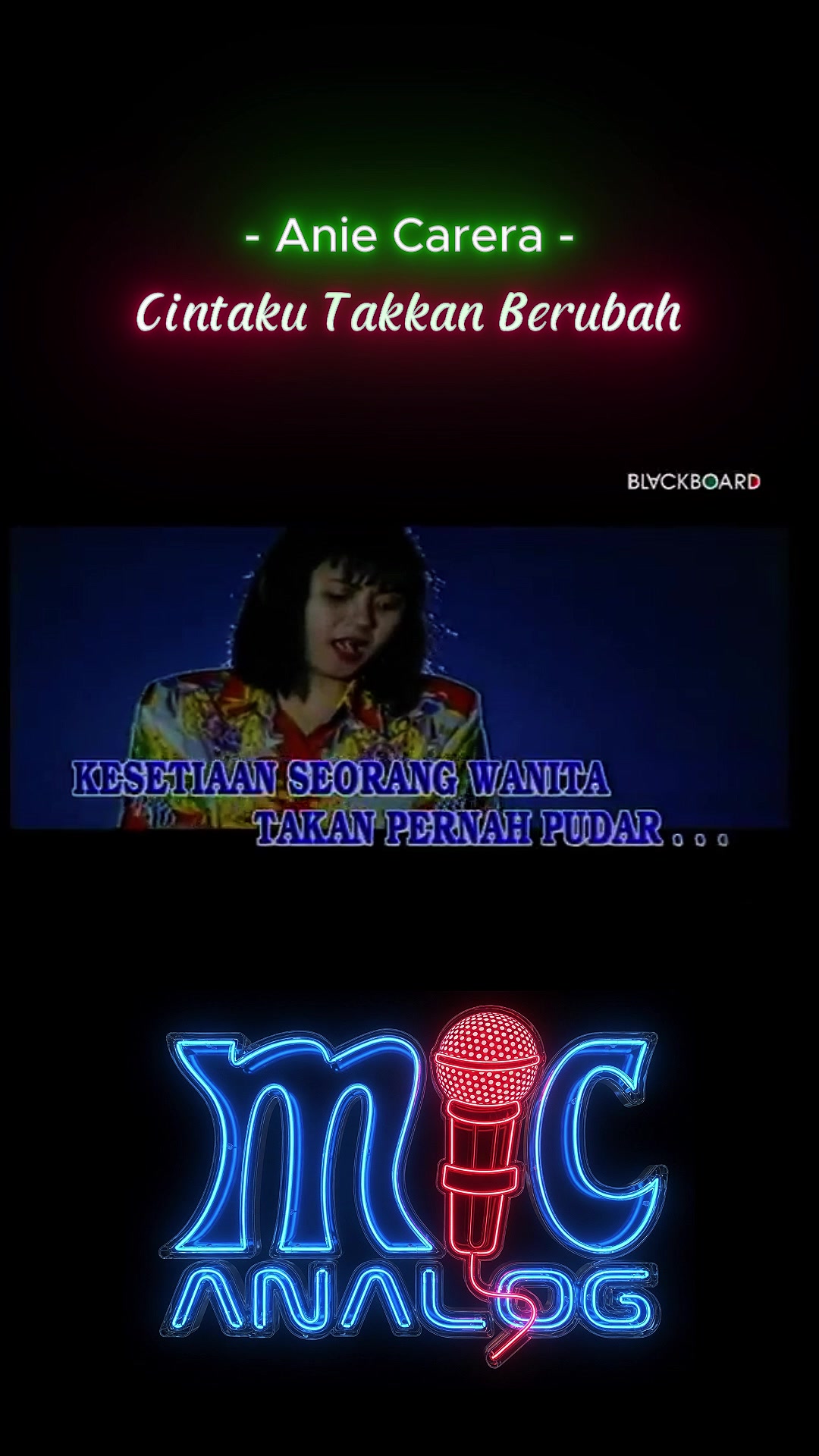 @mic analog