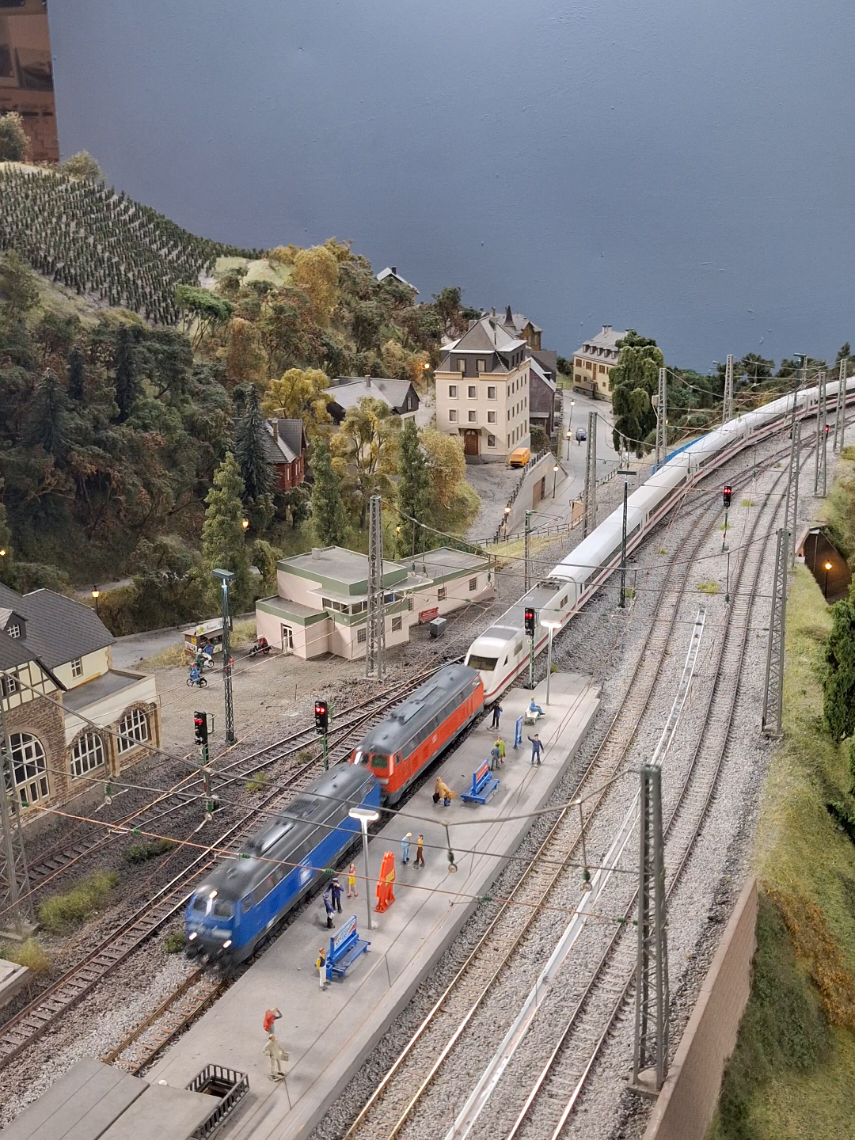 @Ludi 🚂💪