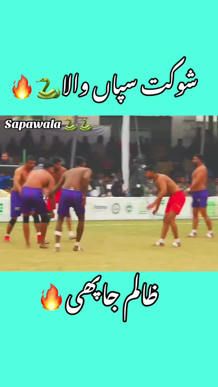 @Shokat sapa wala 🐍🐍