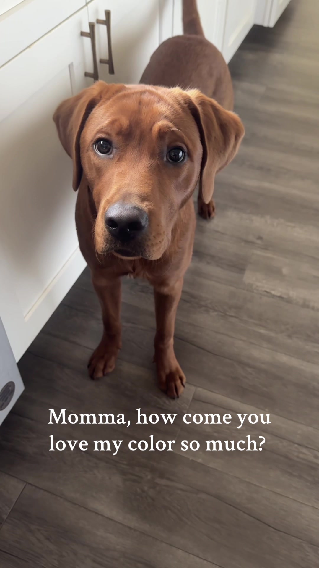 @DnAHome&Life