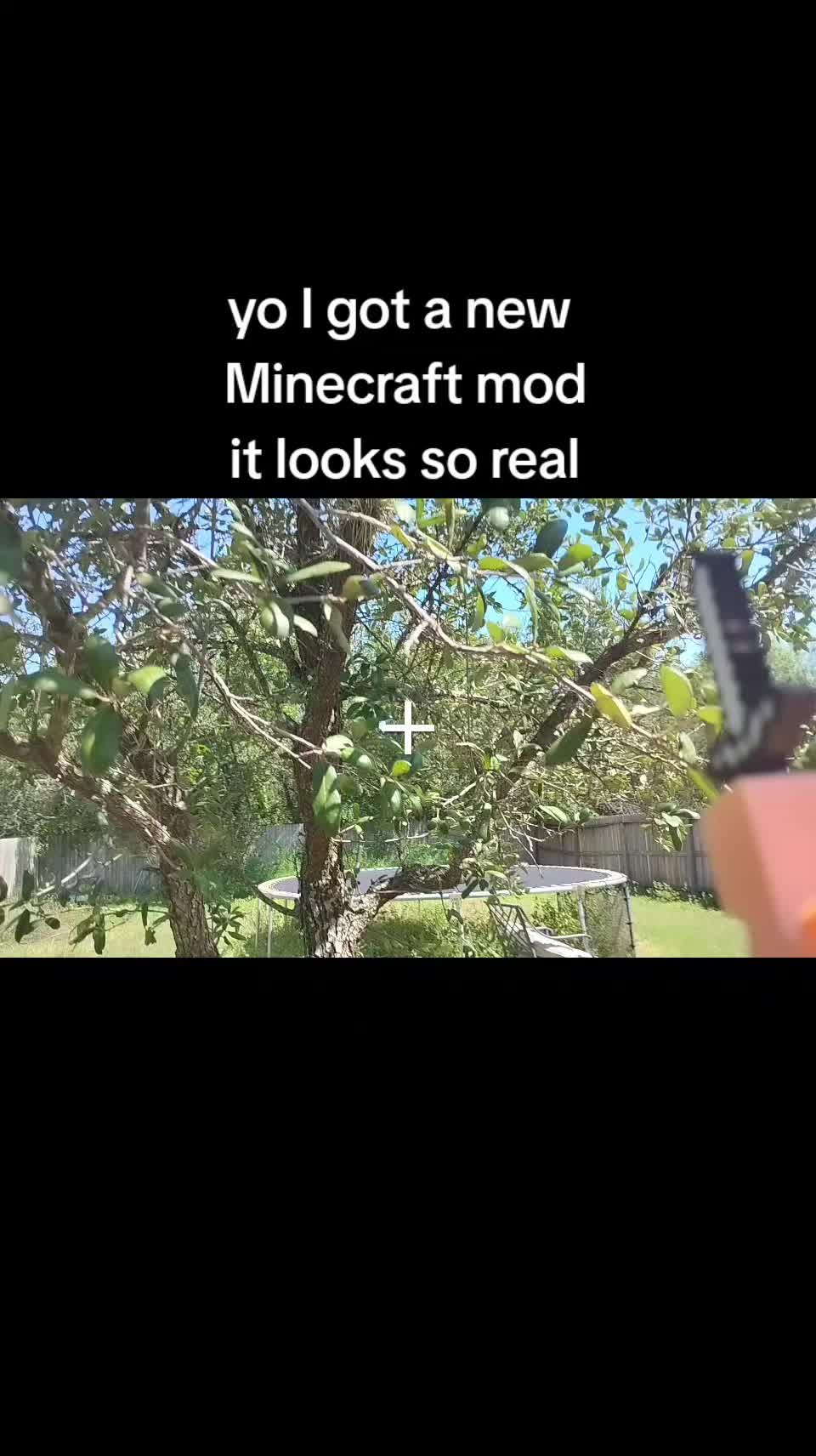 @dan