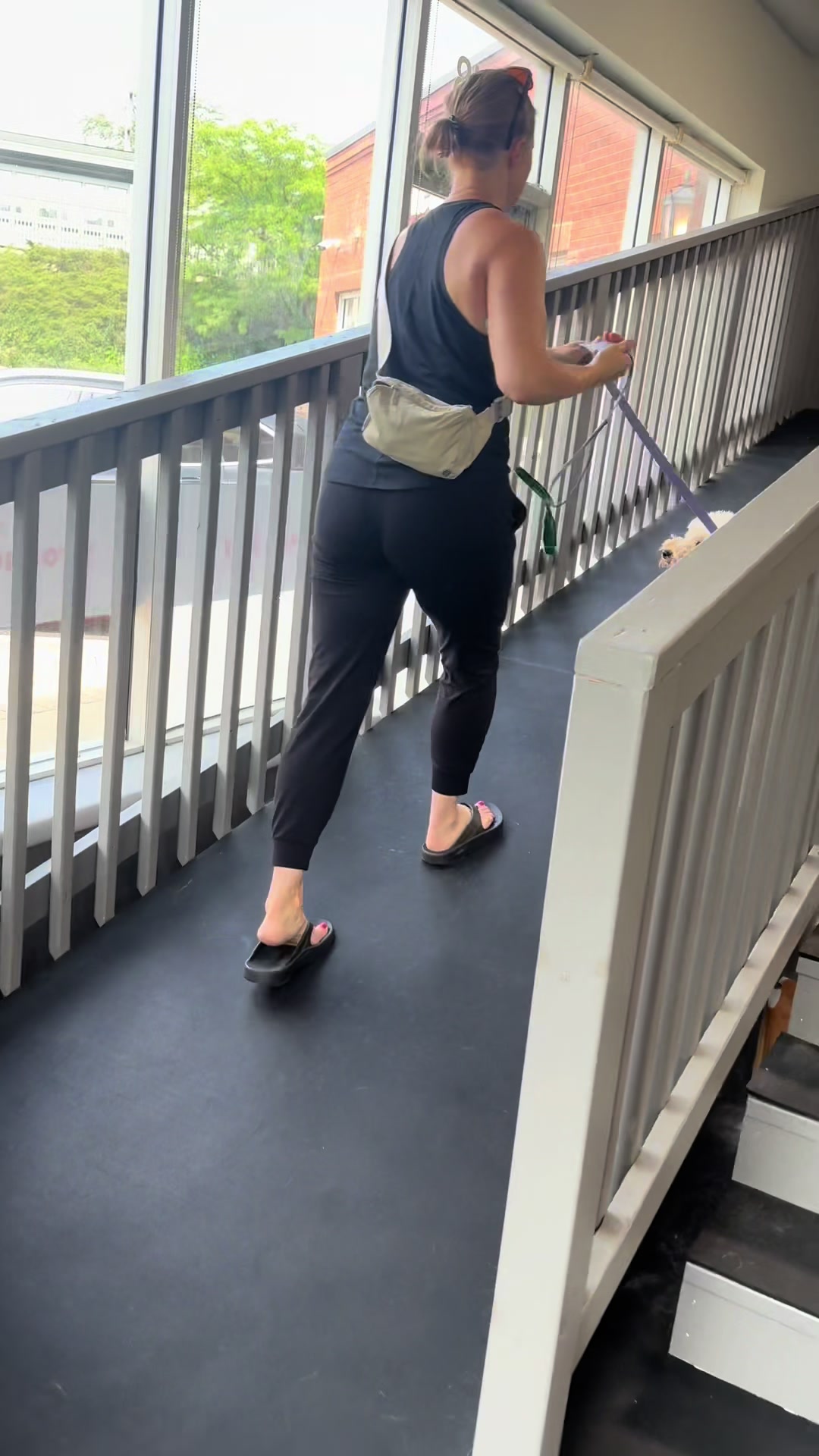 @ArfitDogRehabFitness