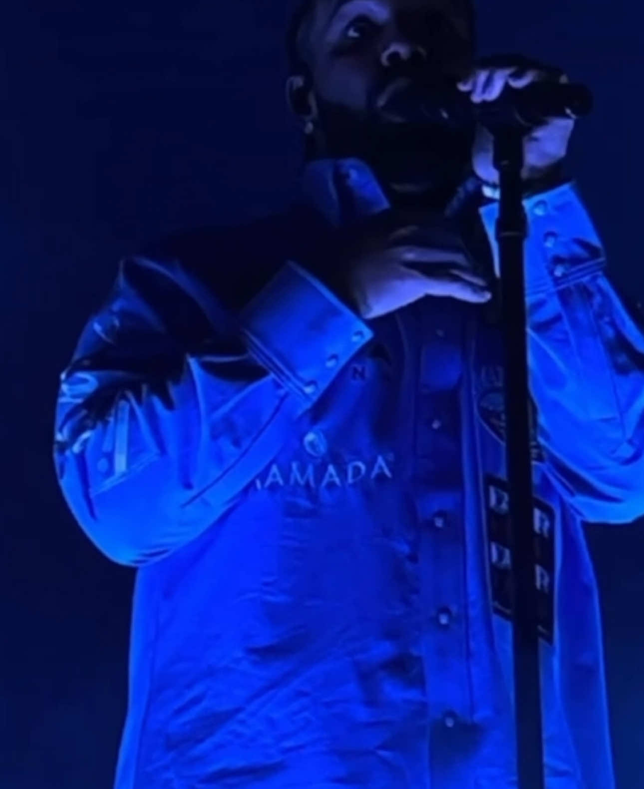 @🦉🧊