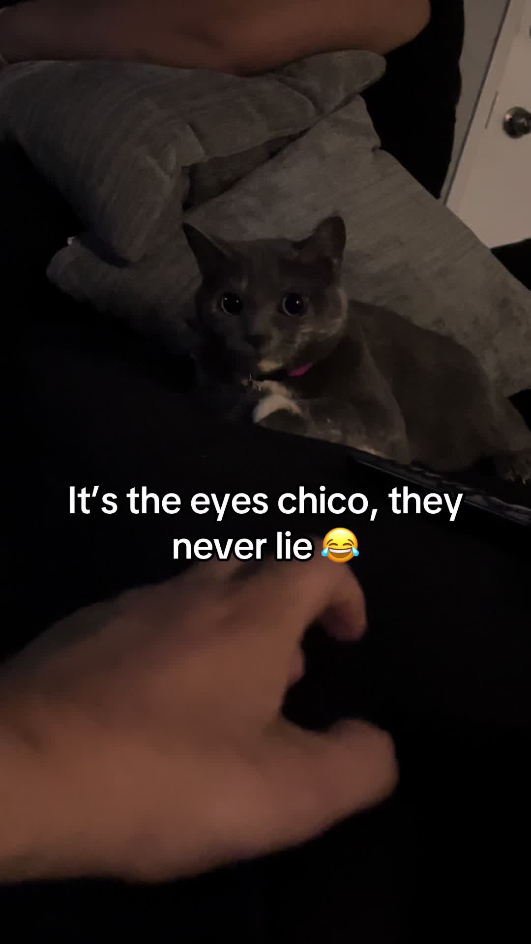 @Joey Mendoza