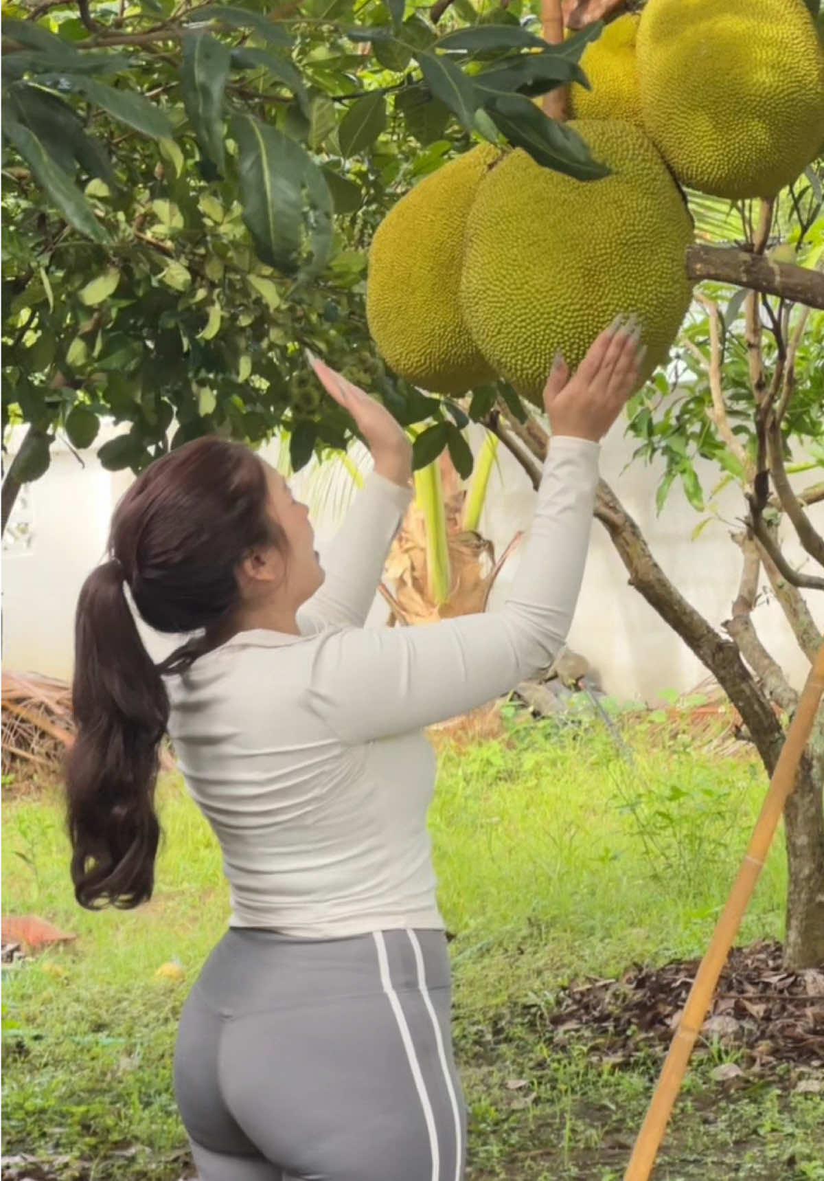 @เซลล์หนูนาขายIsuzuภาคเหนือ🧿
