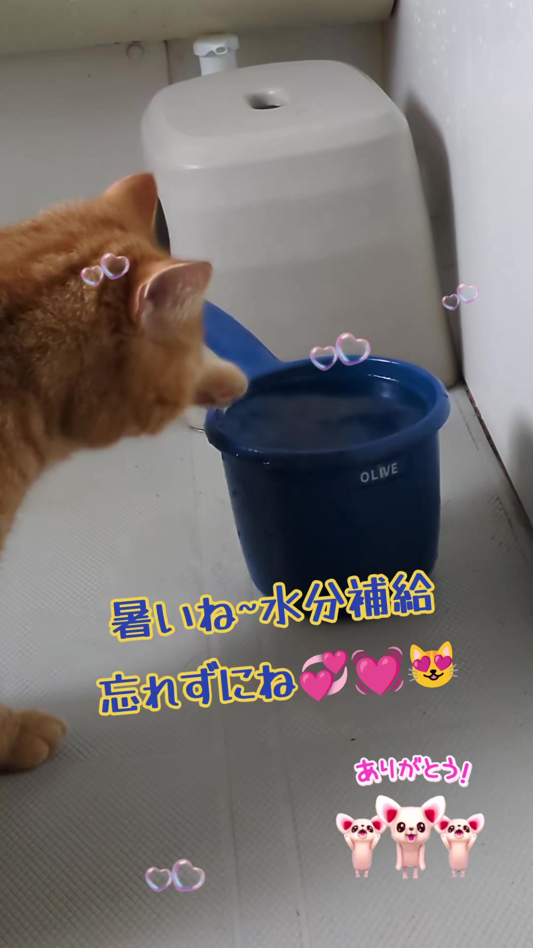 @JUNjun