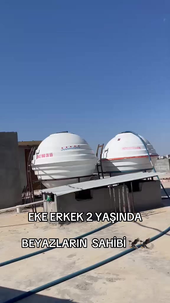 @47 argeş