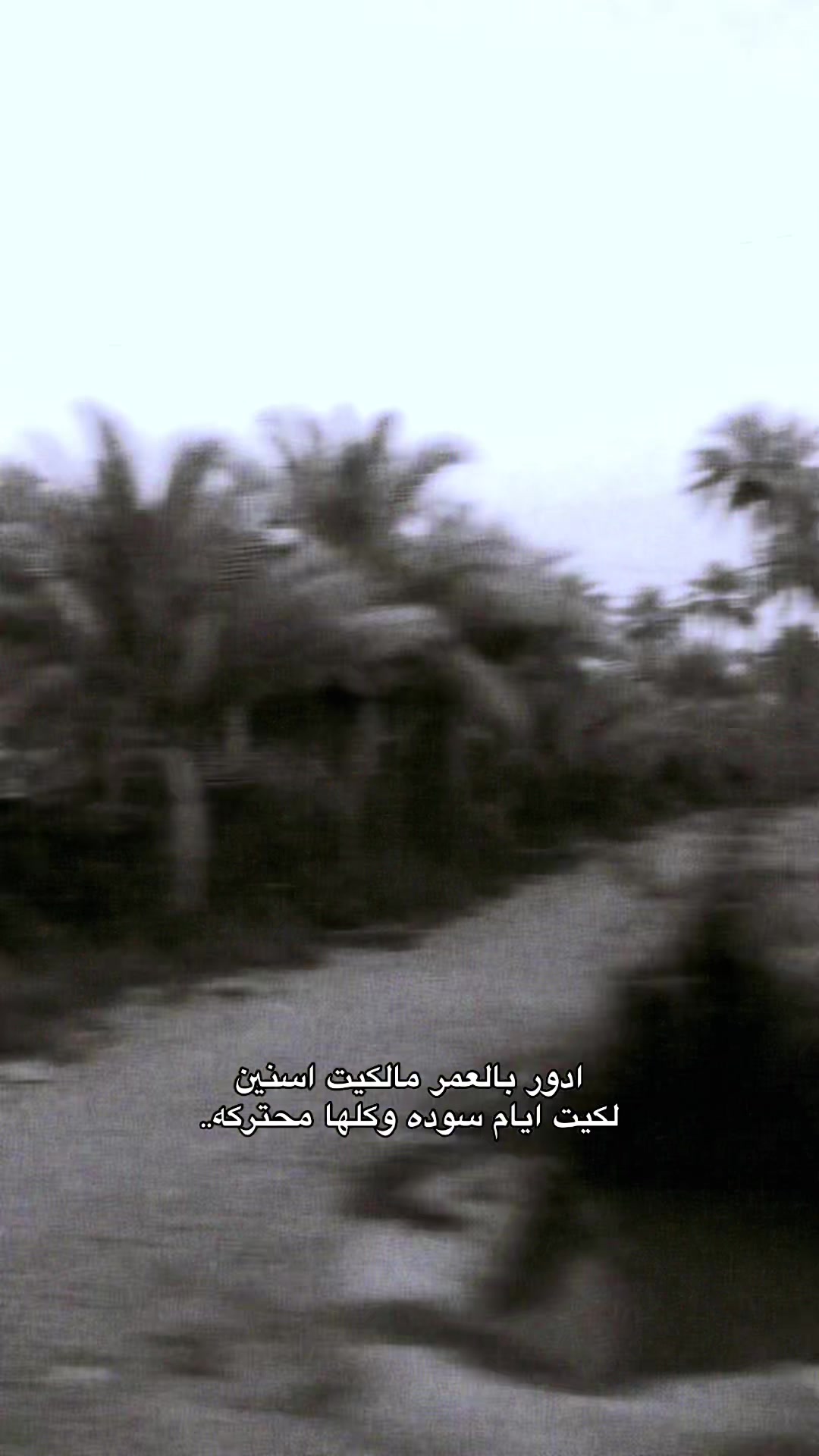 @محمَد .